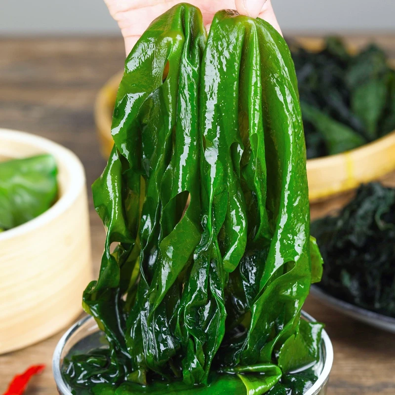 菜无虫眼【太便宜了】盐渍裙带菜火锅配菜新鲜鲜嫩高泡新鲜嫩高泡新