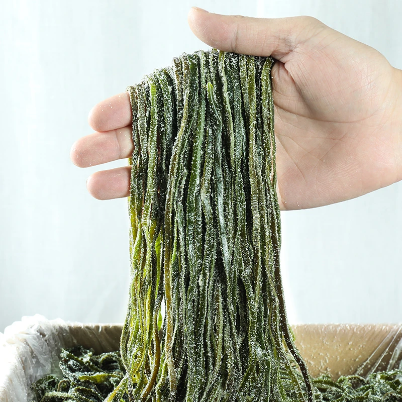 正宗盐渍海带丝5斤新鲜海菜商用整箱半干货非海带丝凉拌厚实营养