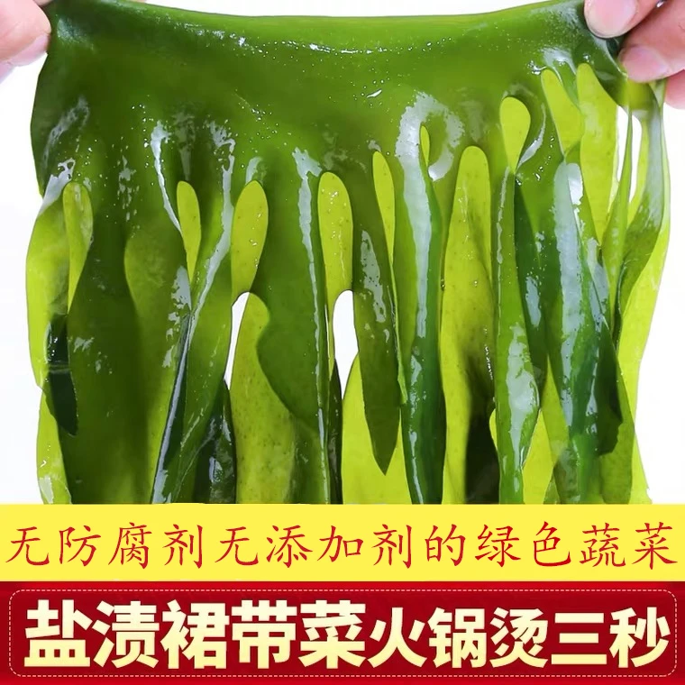 【保证无虫眼】出口盐渍裙带菜新嫩爽滑鲜嫩脆嫩凉拌火锅营养方便