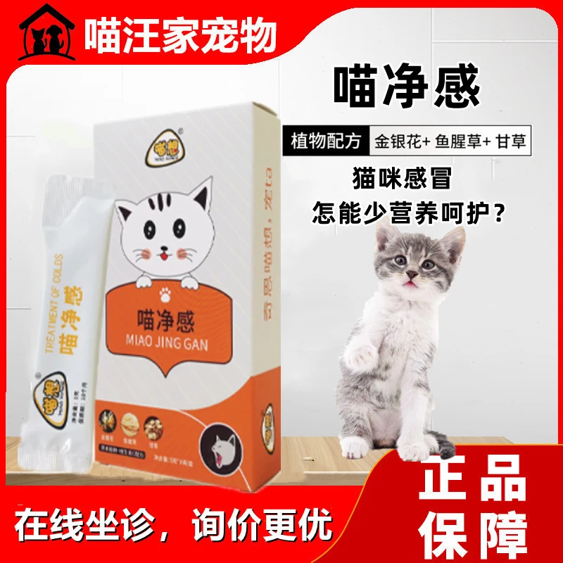 喵想喵净感宠物猫咪专用感冒期的营养补充剂非感冒药可配汪喵阿莫