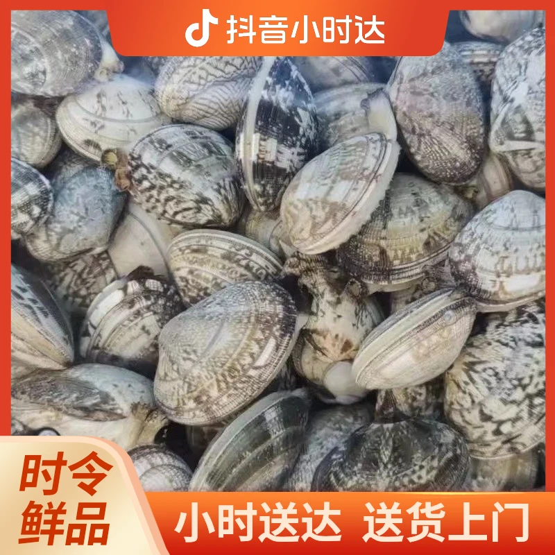 无沙花甲500g