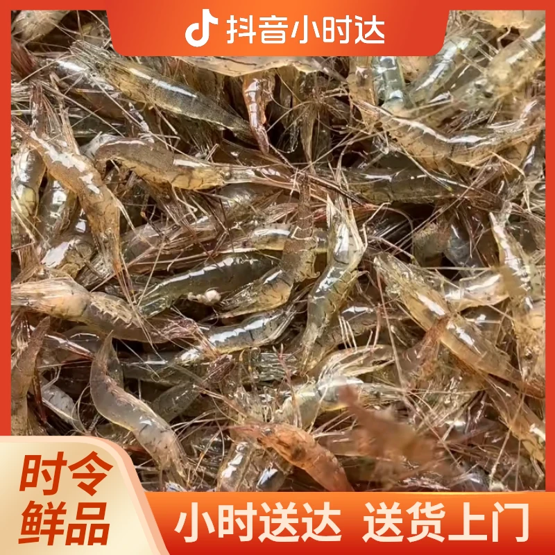 生态小河虾500g