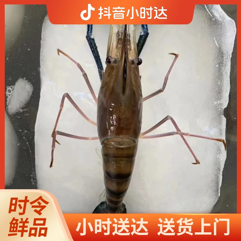 （冰鲜）罗氏虾500g