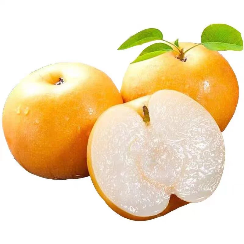 【芳姐专属】4号链接  正宗山东莱阳秋月梨子礼盒装当季新鲜水果8枚装