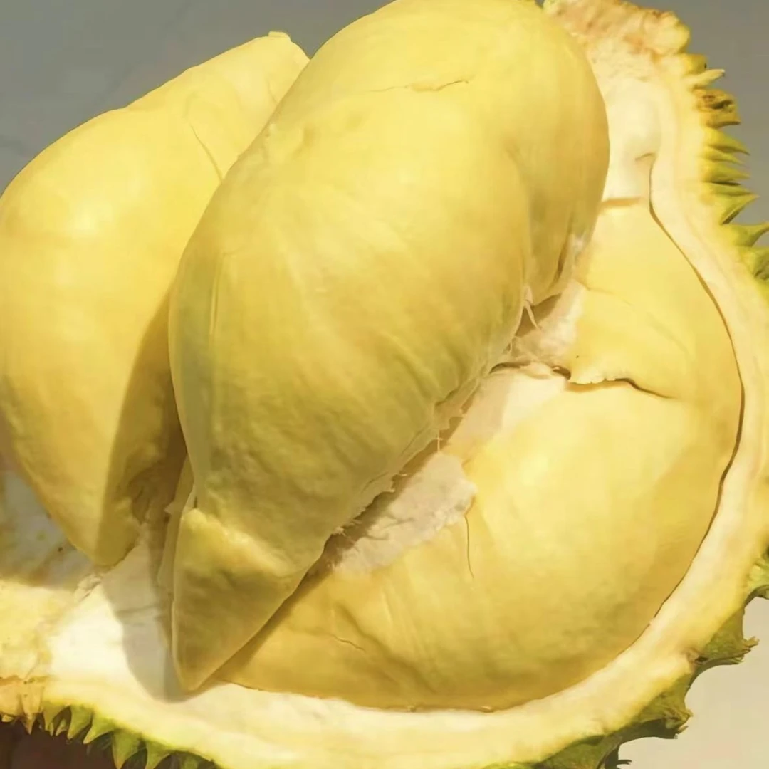 1.5纯肉（特价款）