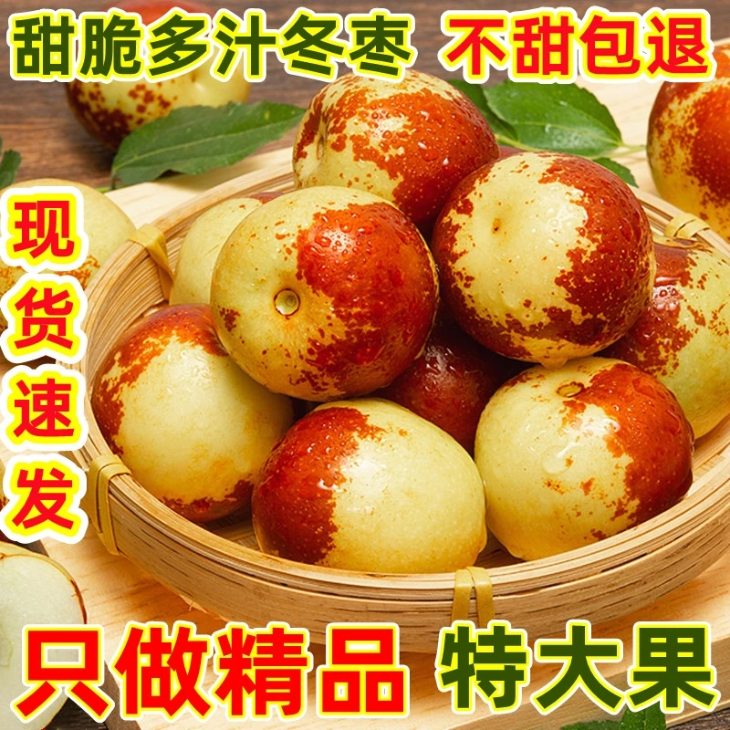 沾化冬枣现摘新鲜脆甜一级超大果当季孕妇水果酥脆产地直发精品