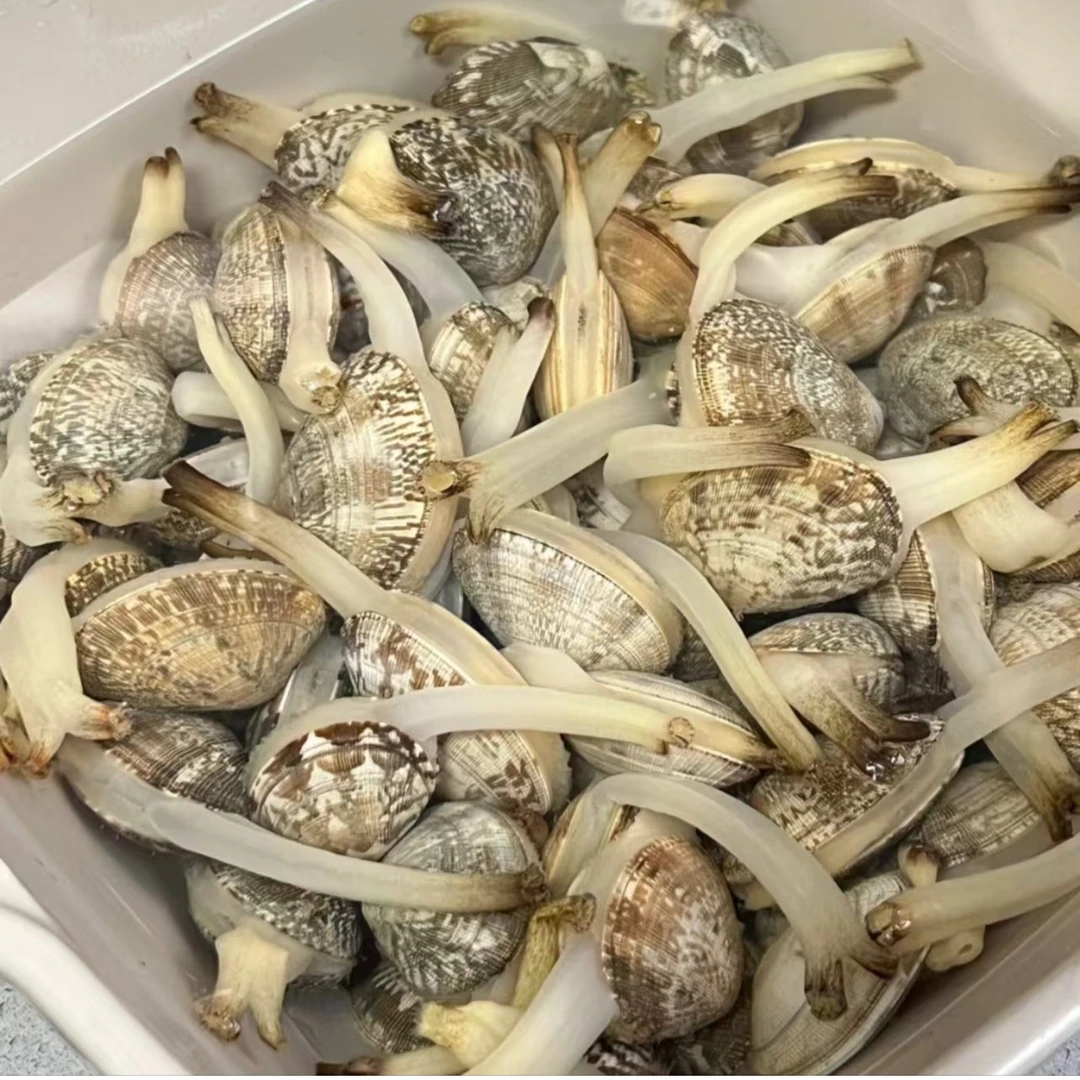 （配送到家）蛏子1斤（35-40个）