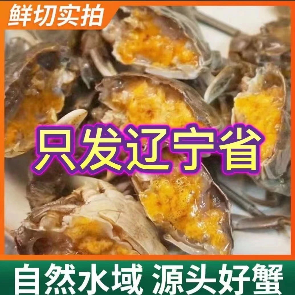 冲！【盘锦活母蟹】净重3斤装 1～1.3两/只 约26～28只左右 包黄 产地活蟹直发 品质保证 顺丰发货