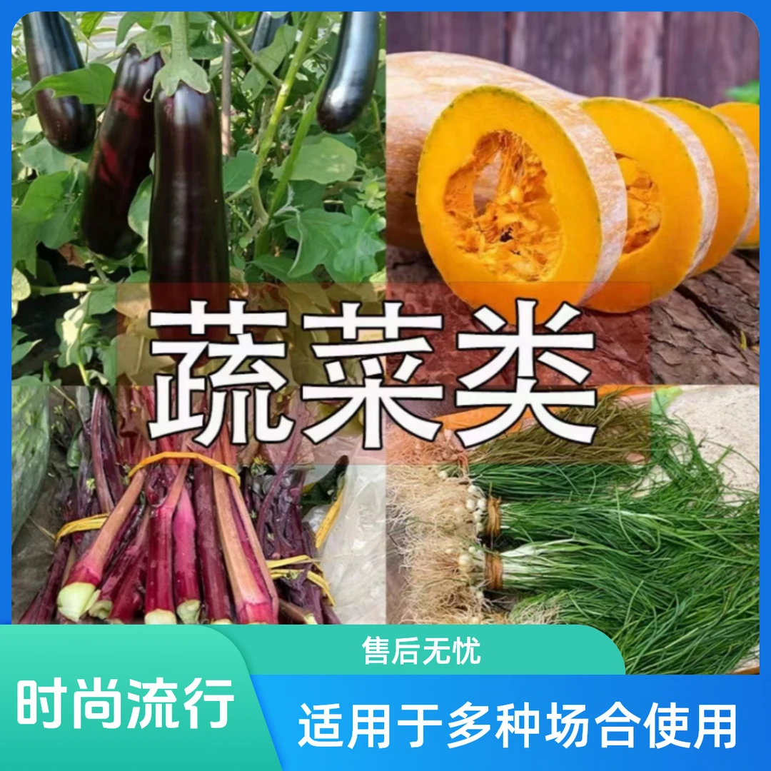 备用农产品现场直播赶集采购蔬菜湖南农产品食用农家手工制作