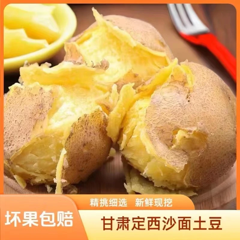 新鲜现挖甘肃定西农家黄心沙面土豆产地直发