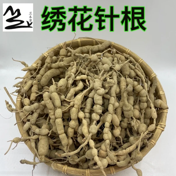 福建兰本草新鲜虎刺根 绣花针根250克500克农产品