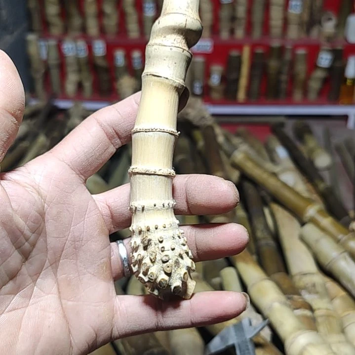【闪购商品】家**宠实心玉竹毛料