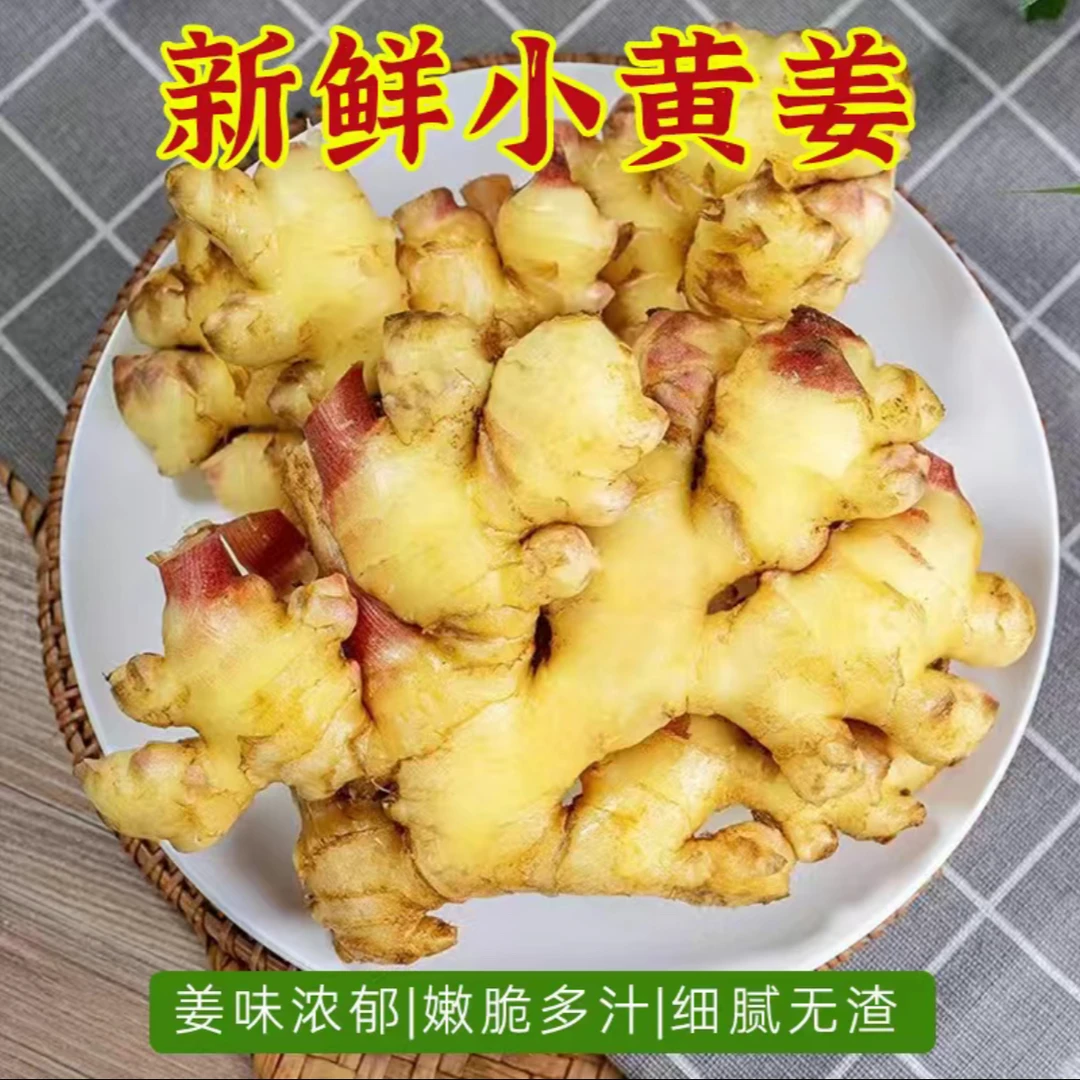 【产地直发】云南高山小黄姜不熏硫不泡药水自然生长姜味浓郁4