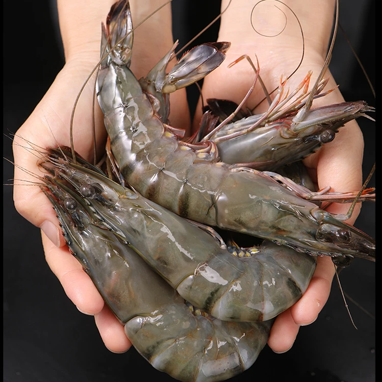 连云港发货 新鲜黑虎虾 老虎虾 16-20规格 3斤/盒