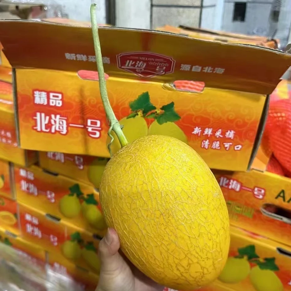 【北海1号哈密瓜】哈密瓜(箱/4颗) 仅限太原六城区榆次可拍