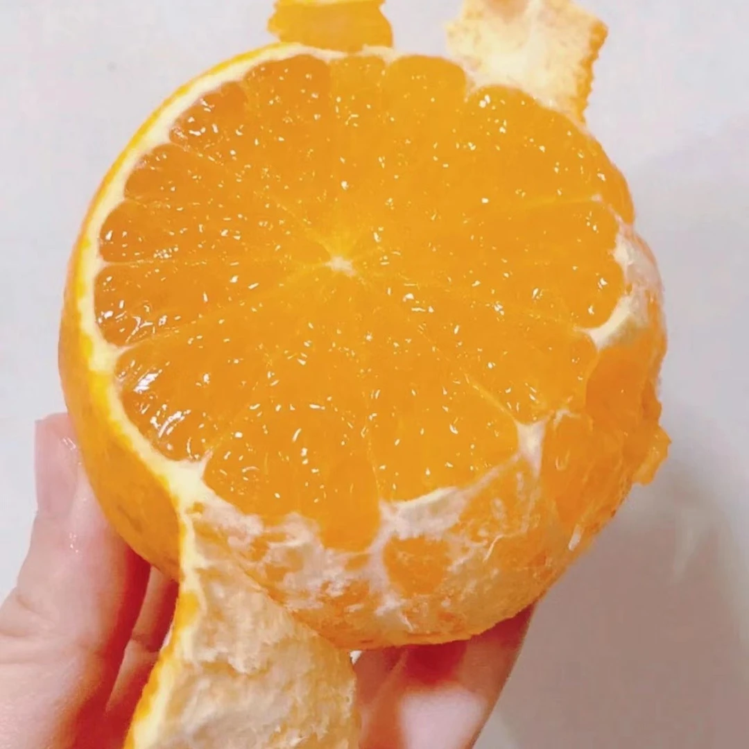 【寸金地爱媛箱装】（箱/6斤以上）仅限太原六城区榆次可拍