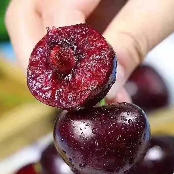 原箱吉制拉宾斯【3JD车厘子】（箱/5斤净果）太原六城区榆次可拍