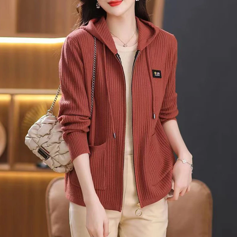 秋冬季新款针织衫女士拉链连帽开衫外套时尚宽松羊毛毛衣休闲百搭