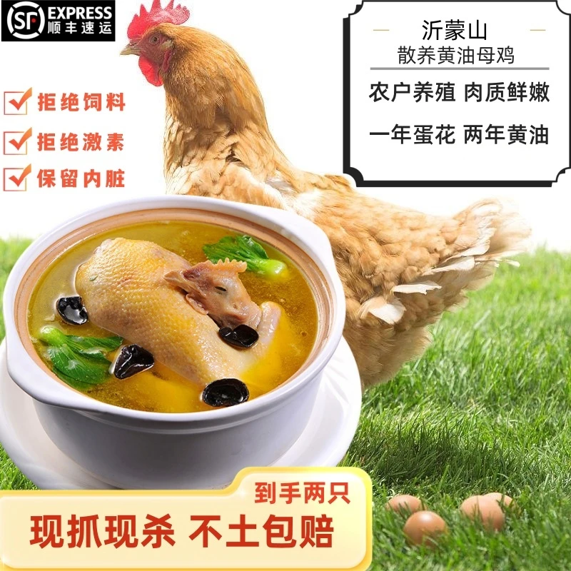 拍1只发2只 黄油母鸡  一只毛重4斤多净重2斤多  两只净重4斤多