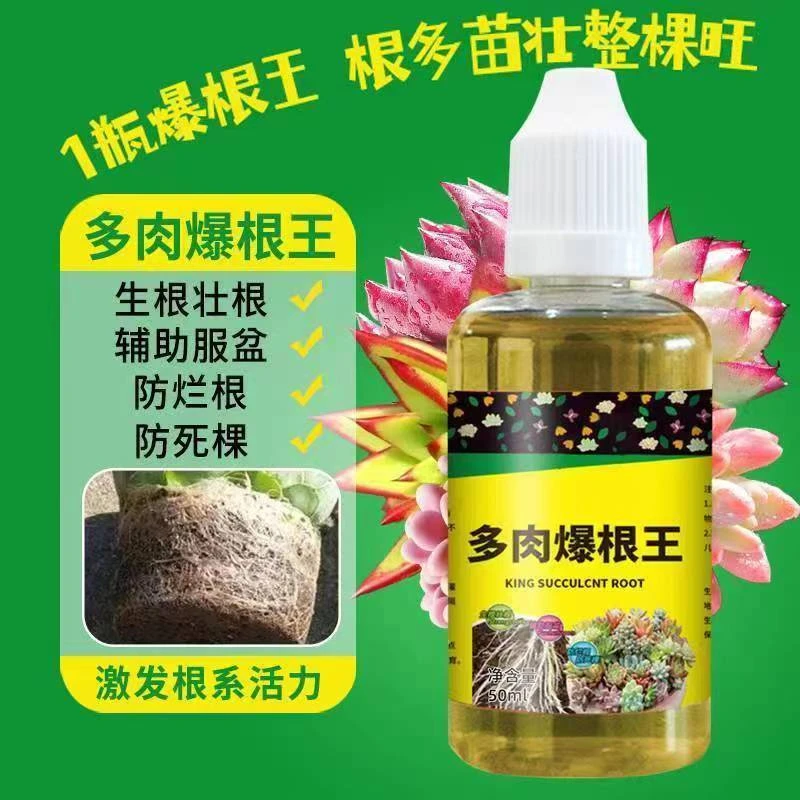 厂家大促多肉爆根王快速生根液壮苗剂多肉植物营养液通用多肉专用