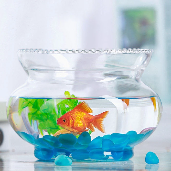 创意透明花边玻璃鱼缸金鱼缸生态鱼缸家居桌面造景水培生态鱼缸