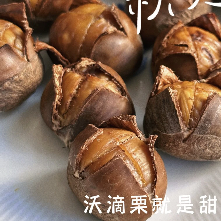 【香甜粉糯细腻】迁西鲜板栗3113栗子生熟都好吃老少皆宜京东