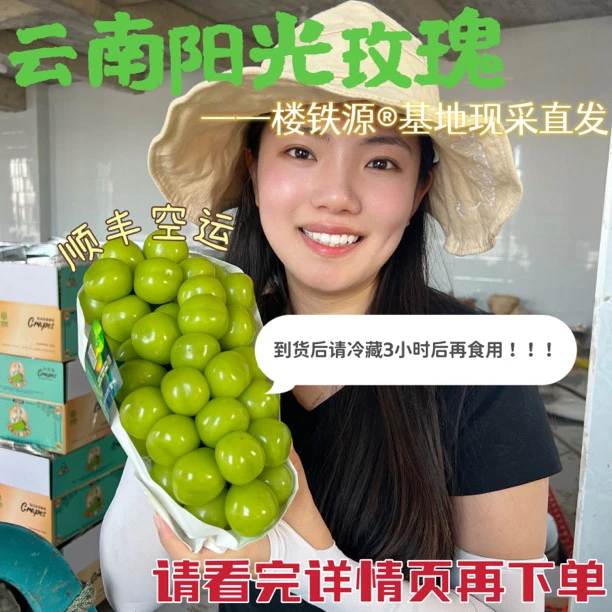 【楼铁源】阳光玫瑰葡萄香印晴王好吃健康产地现采顺丰空运
