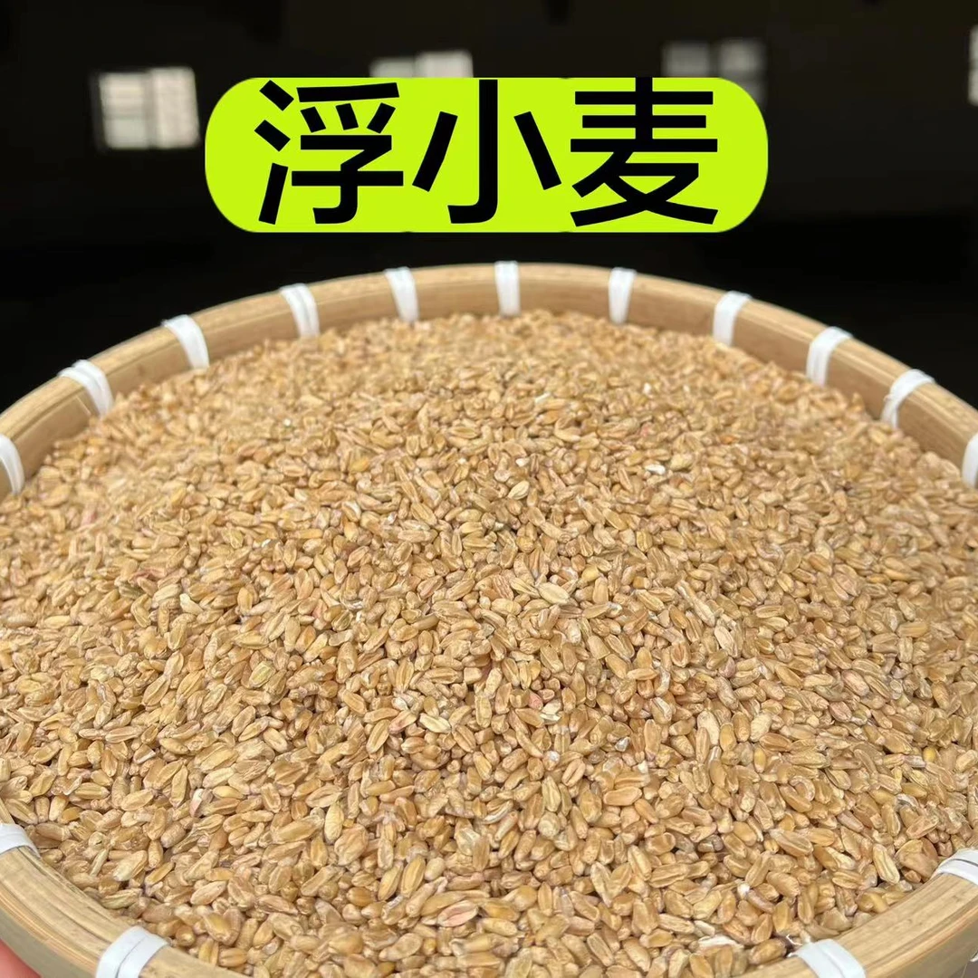 【浮小麦】甘肃山麦子 长得不饱满 漂浮率80左右   皂角米250克