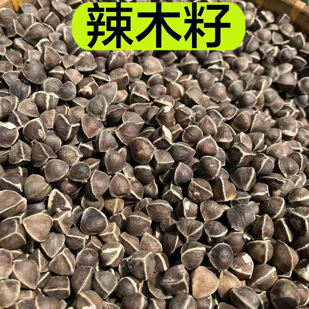 【辣木籽】大颗粒果实精选正宗辣木籽 都是干货250克包邮 不是砂仁