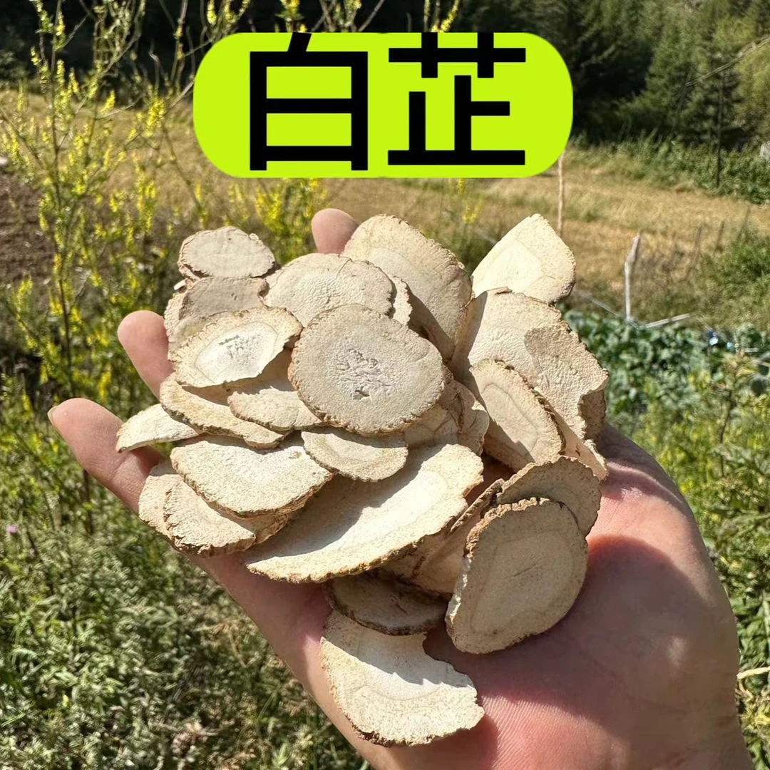 【白芷】正宗白芷无熏无硫切片 四川种植白芷