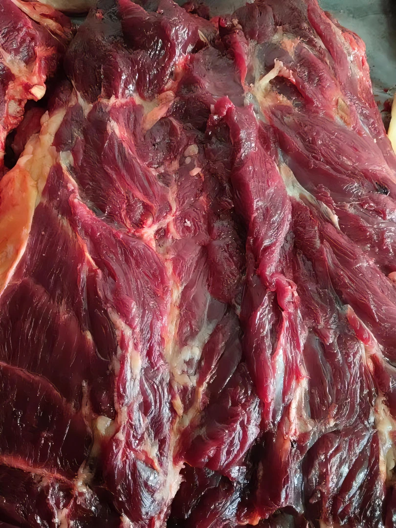 【福利款】原切内蒙锡林郭勒沙窝黄膘牛肉天然新鲜营养丰富草饲散养