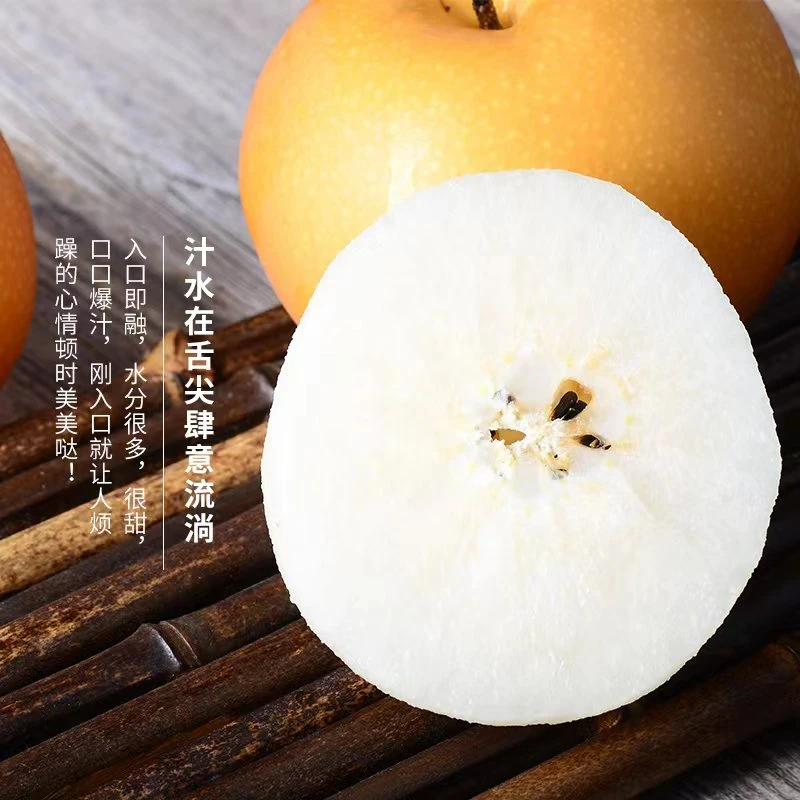 莱阳秋月梨今年新鲜应季水果现摘4.5斤香脆皮薄爽口细腻多汁甘甜