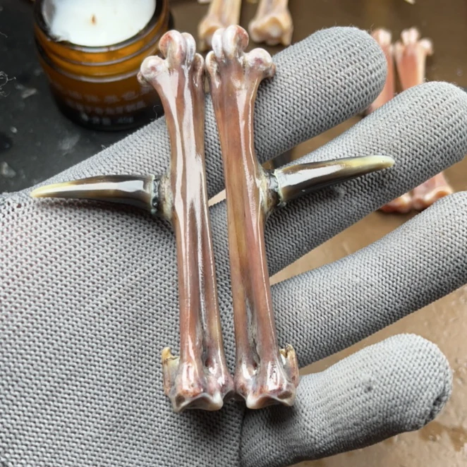 创意文玩鸡爪骨，乌鸡一对，拍后3天内发货