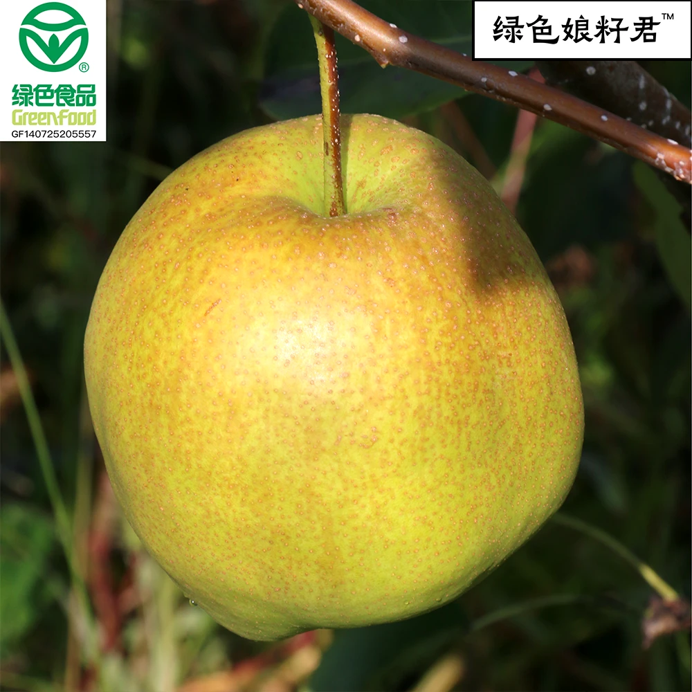 玉露香梨2颗