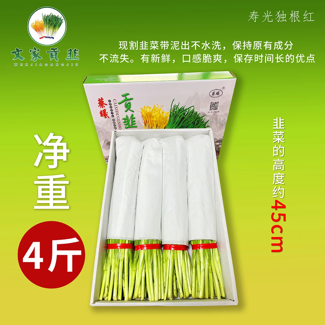 寿光贡韭独根红韭菜吃大豆喝糖稀长的韭菜精装礼品盒韭菜韭菜根苗