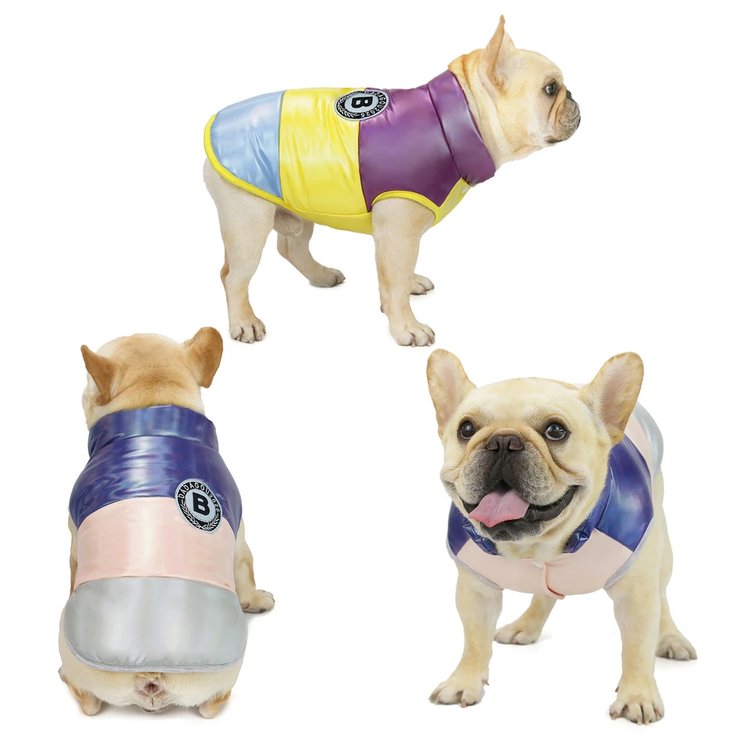 斗牛犬衣服秋冬季宠物服装法斗沙皮胖大狗狗衣服20彩虹斗牛棉背心