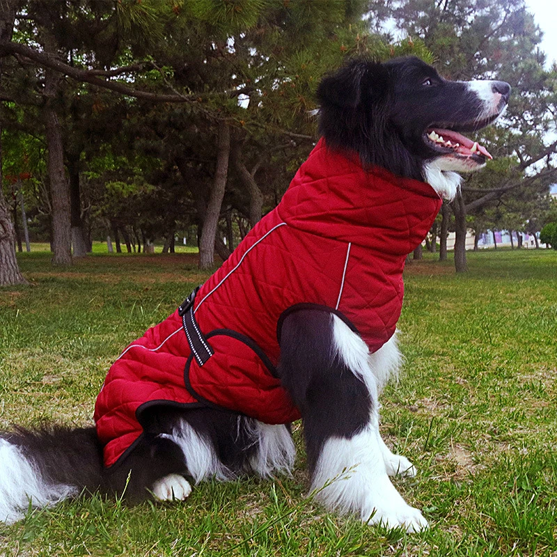 狗狗红色冬装中型大型犬金毛拉布拉多马犬加绒保暖冬季棉衣棉马甲