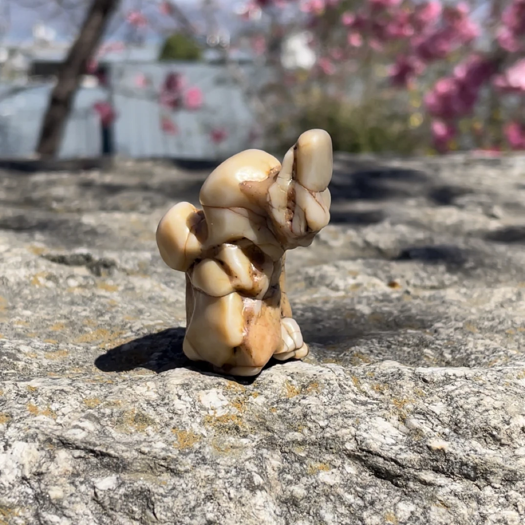 天然象形-人物（戈壁奇石）