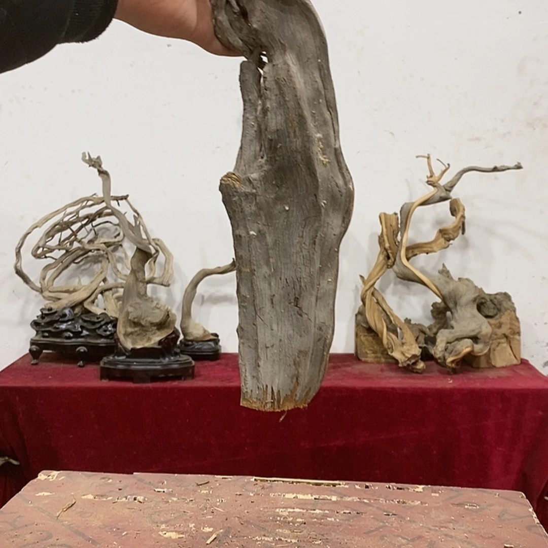 【闪购商品】柏木火****娃