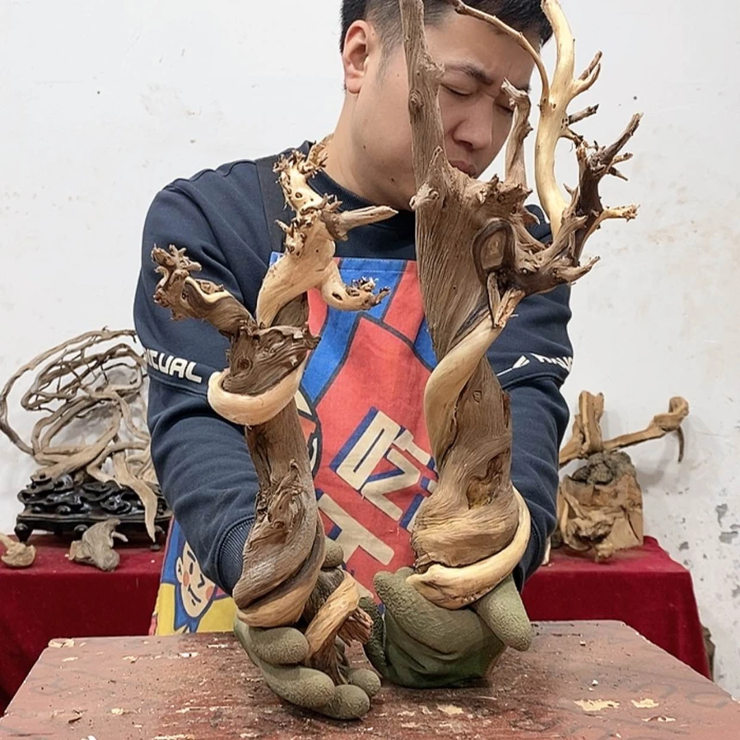 【闪购商品】柏木根**人