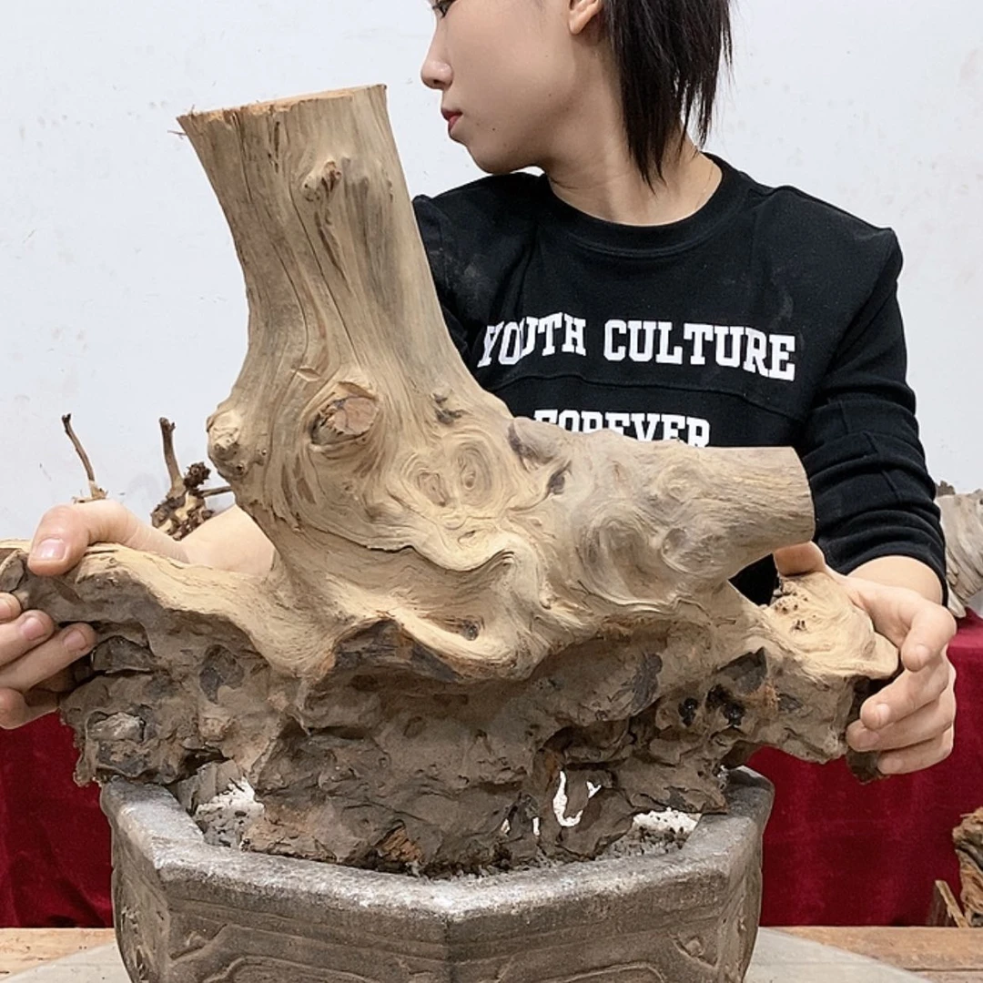 【闪购商品】柏木素**铭