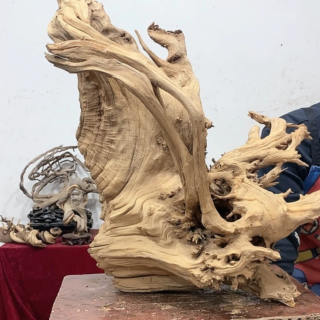 【闪购商品】柏木李*头