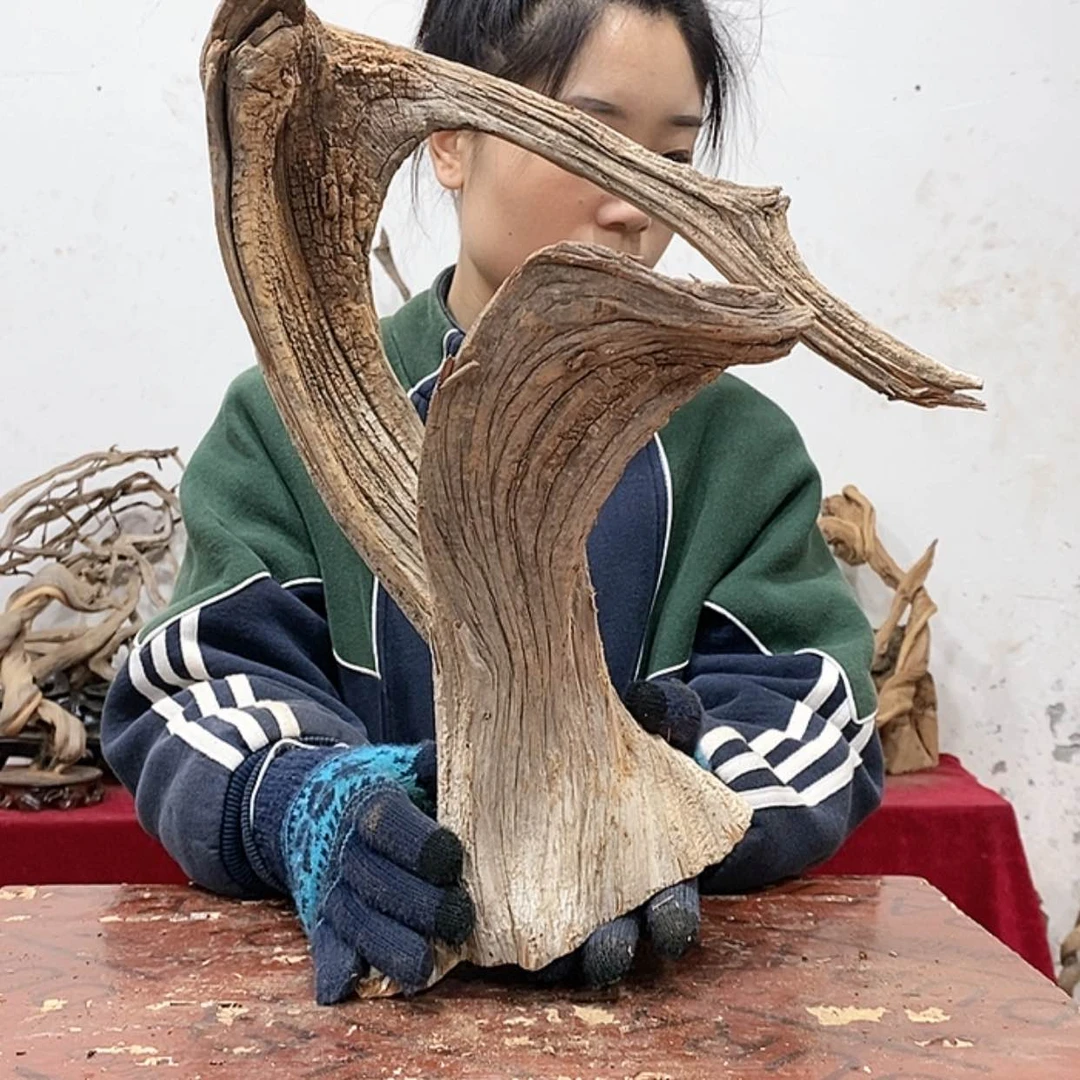 【闪购商品】柏木一***2