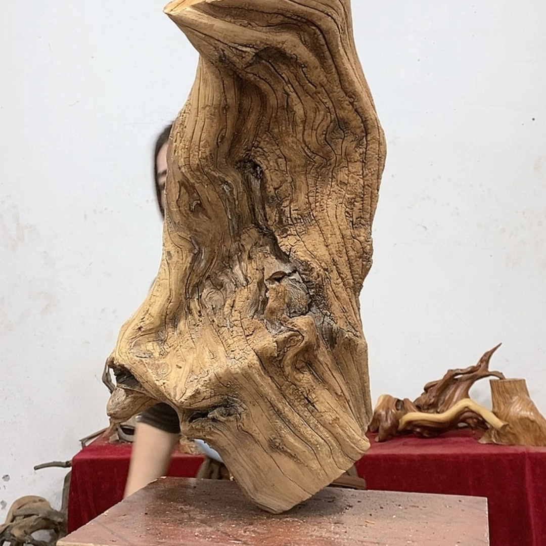 【闪购商品】柏木属****福