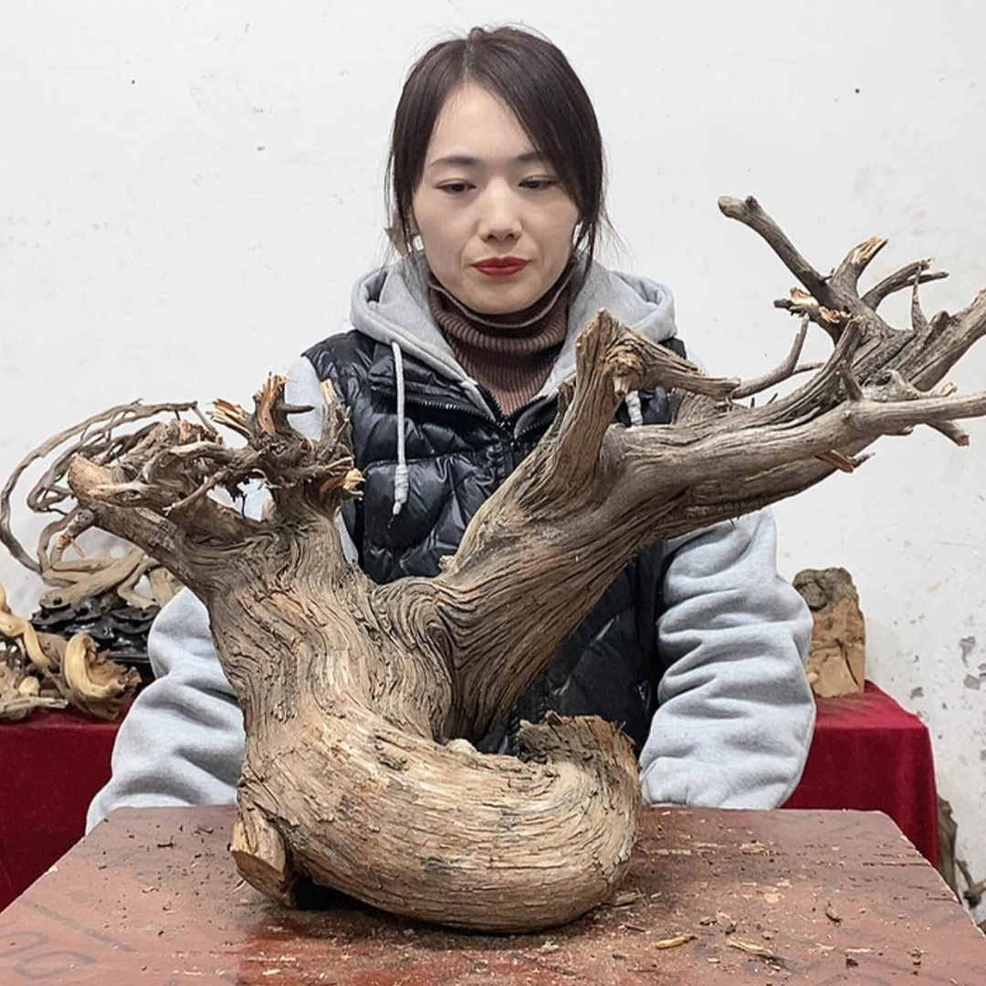 【闪购商品】柏木江*