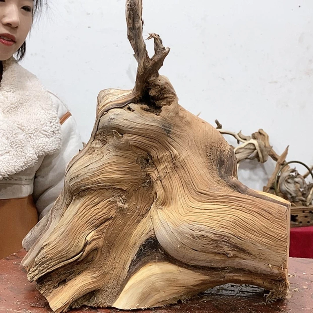 【闪购商品】柏木龙***工