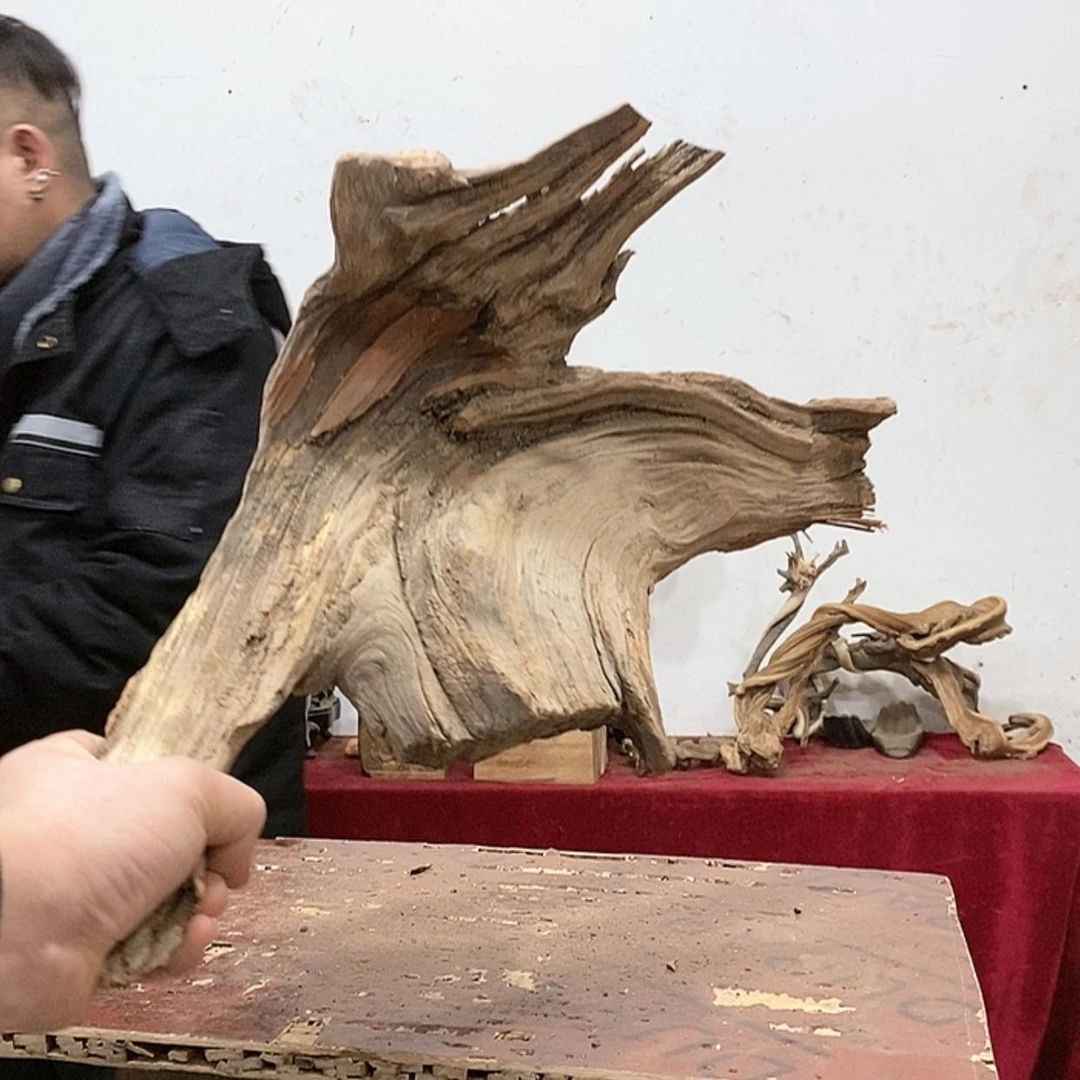 【闪购商品】柏木尽****@