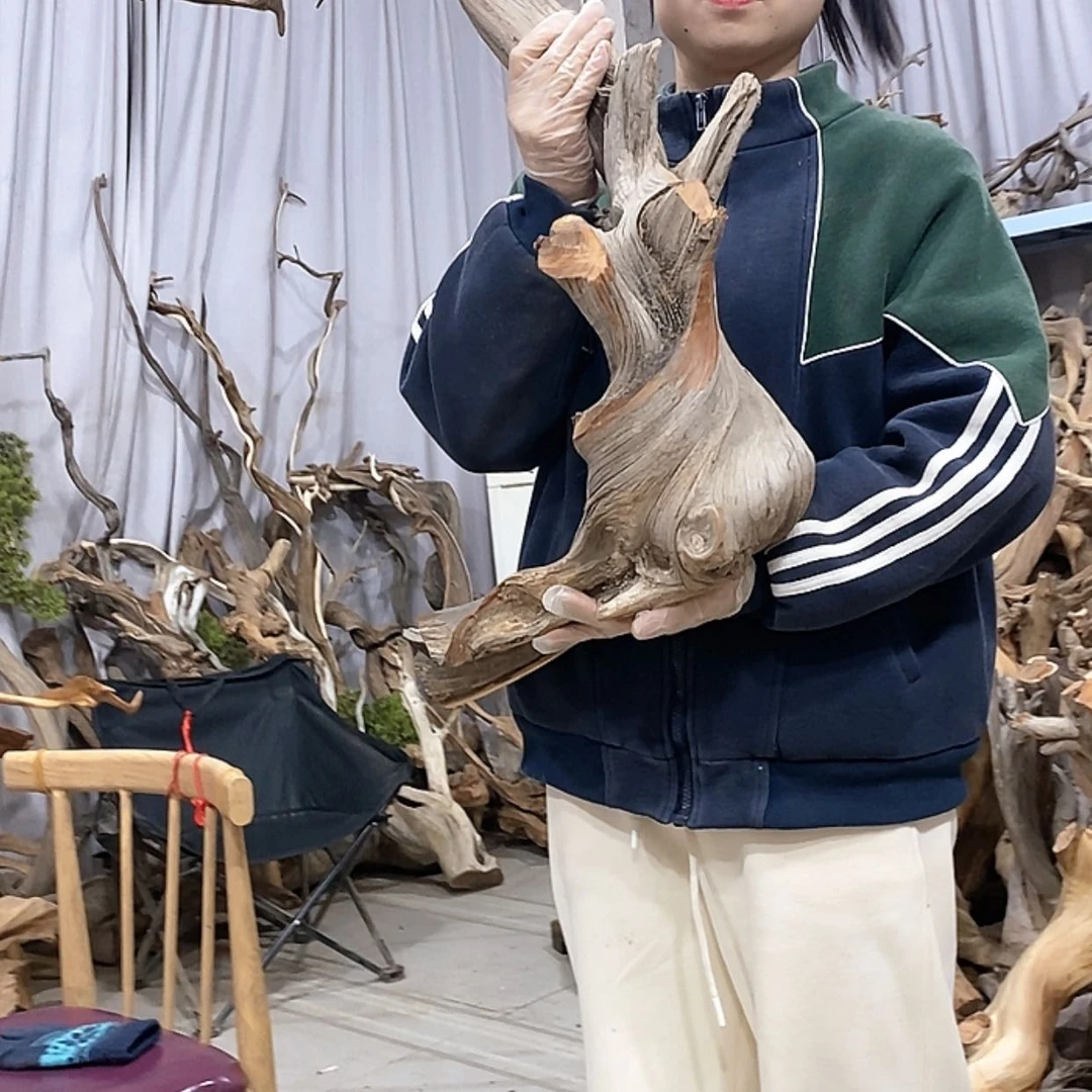 【闪购商品】柏木不****活