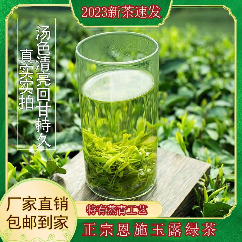 【春茶捡漏】2023春茶【恩施玉露】茶恩施绿茶茶叶工厂直发
