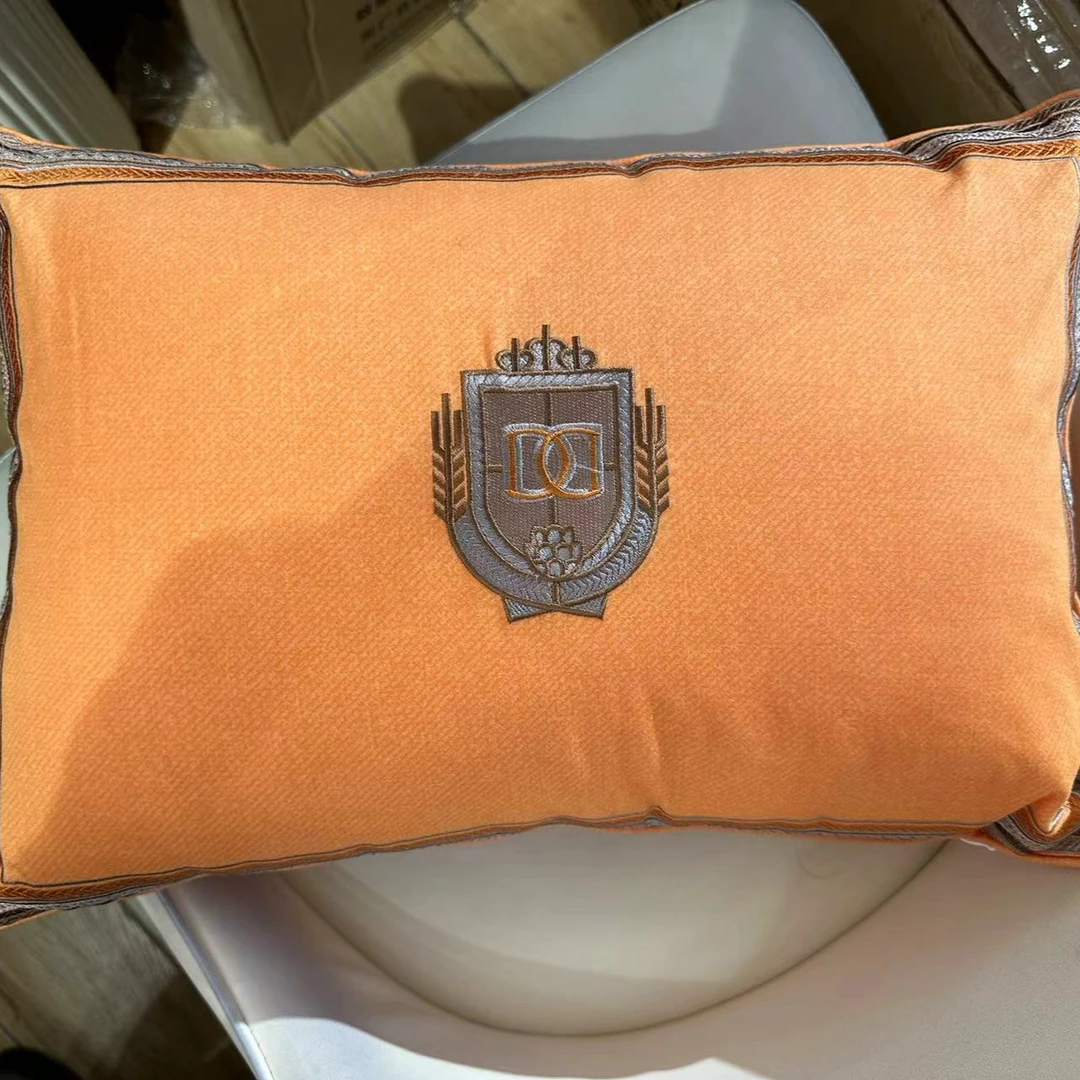 【门店出清】恐龙 RDM1700 绣花小抱枕连芯